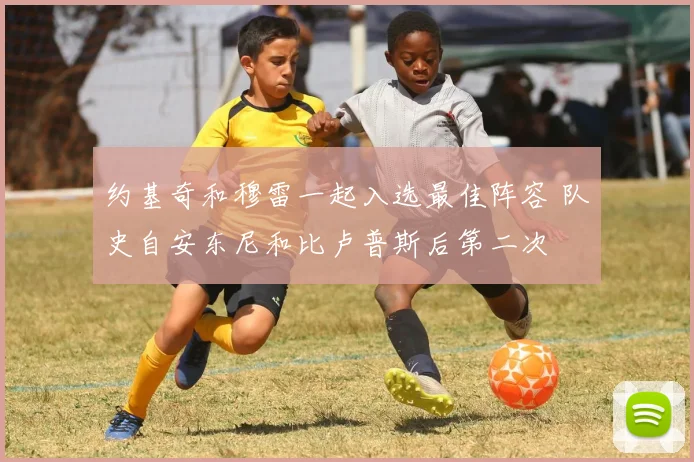 约基奇和穆雷一起入选最佳阵容 队史自安东尼和比卢普斯后第二次